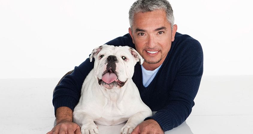 Cesar Millan poses with a dog he is training.