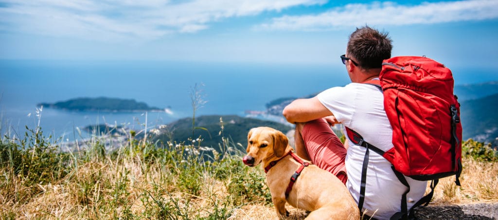 a dog and his human travel to another country