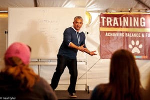 Cesar teaching at Training Cesar's Way.