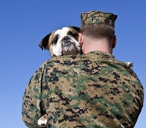 Military Man Hugs Dog