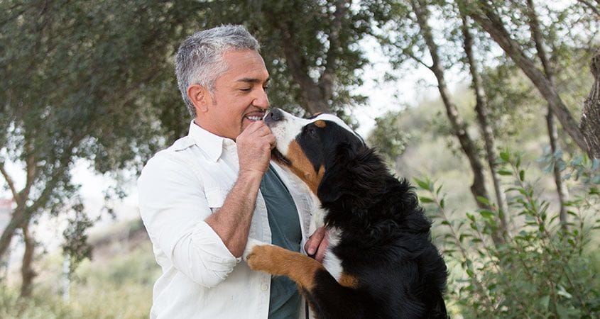 Cesar gets some love from a dog.