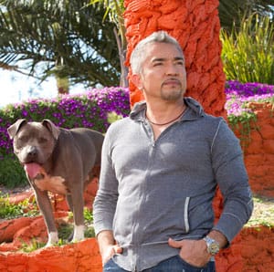 Cesar Millan, dog trainer with his dog.