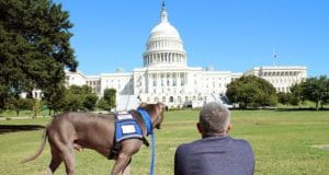 cesar-milan-outside-the-white-house-with-pitbull