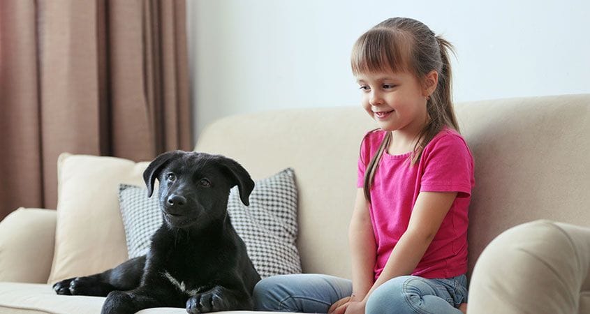 A little girl sits on the couch with a puppy.