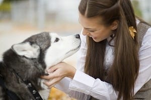 a woman bonds with her adopted adult dog