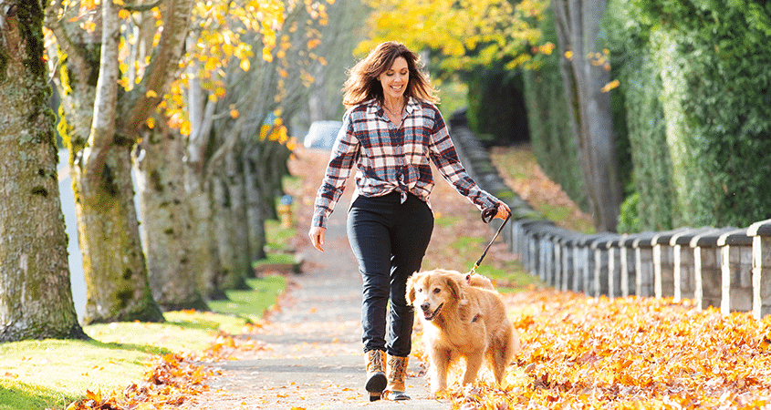 A woman walks her dog on a beautiful fall day.