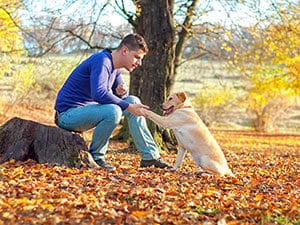 man with yellow lab - Cesar's Way