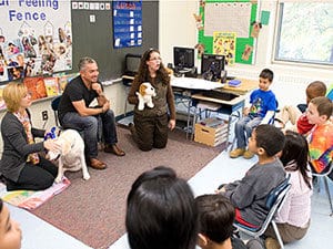 in classroom with dogs