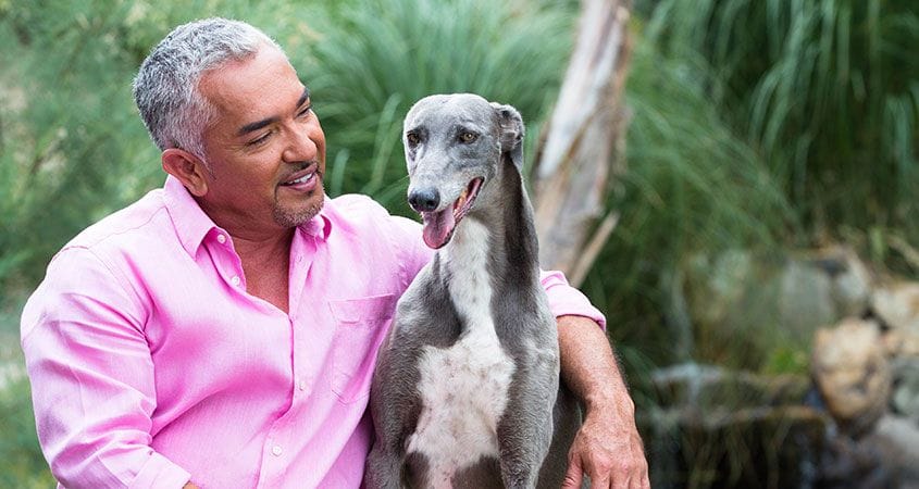 Cesar sits with a dog outside.