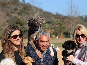Cesar with people and dogs