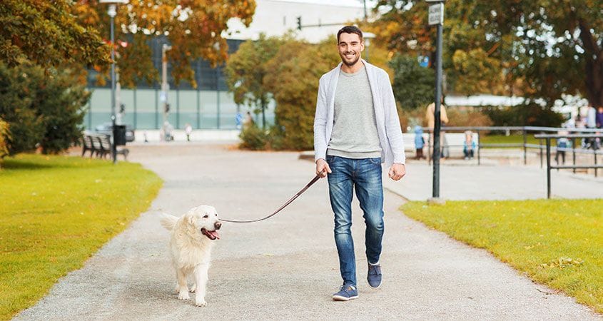 A man and his dog for a walk on a fall night