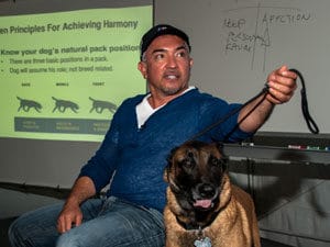 Cesar Millan sits with calm dog and teaches training lessons to others.