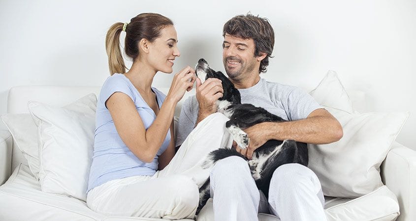 couple with dog