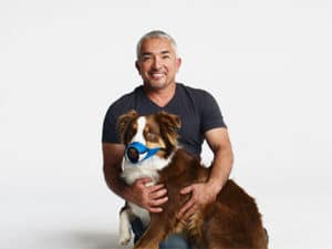 Cesar Millan sits with pretty dog using the new Funny Muzzle