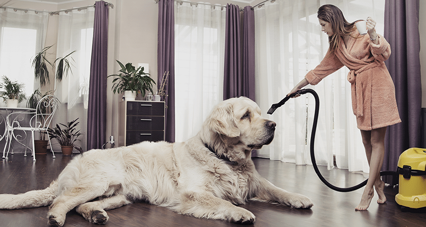 A woman cleans her home from dog hair.