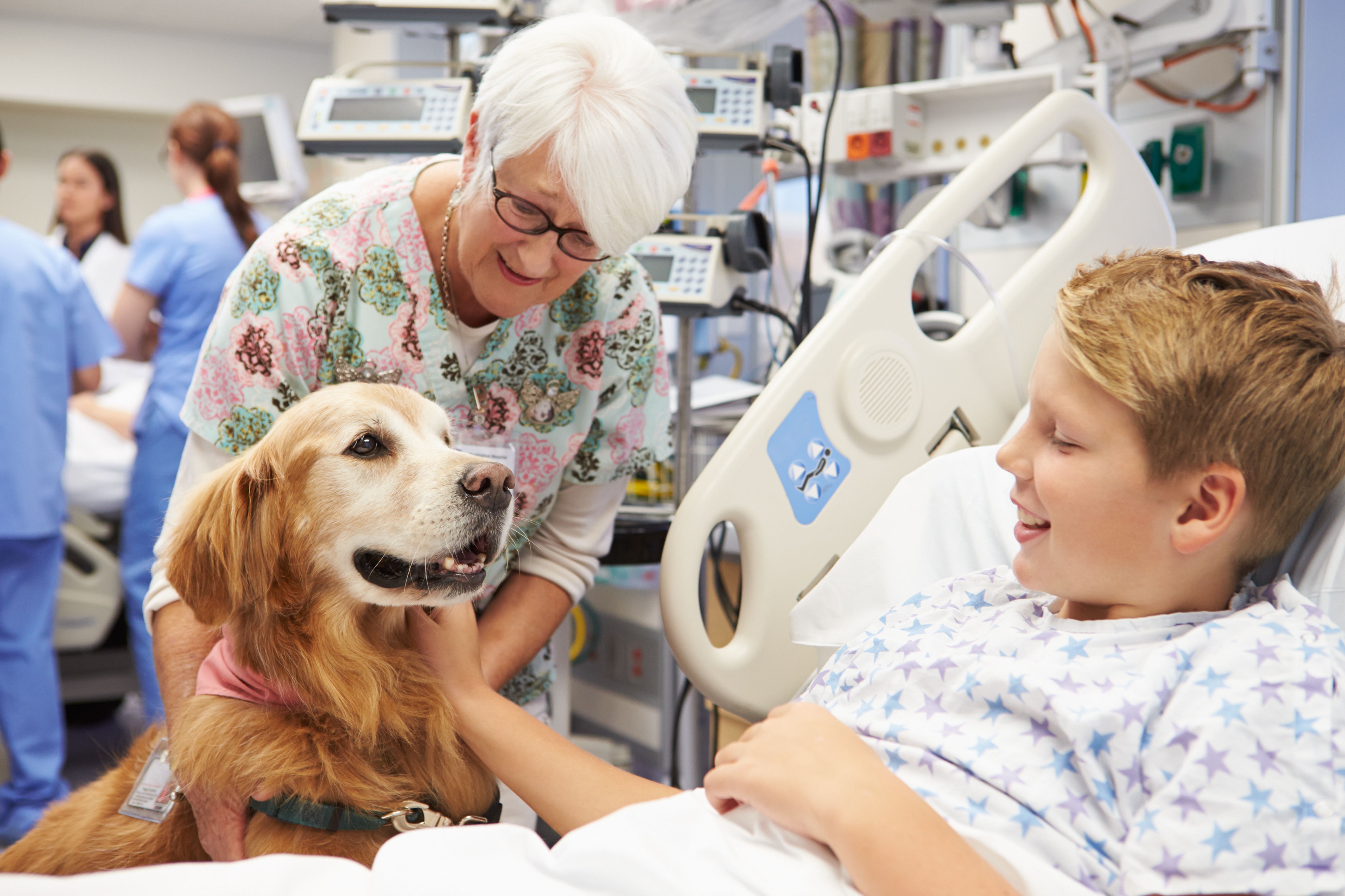dog visits sick child in the hospital