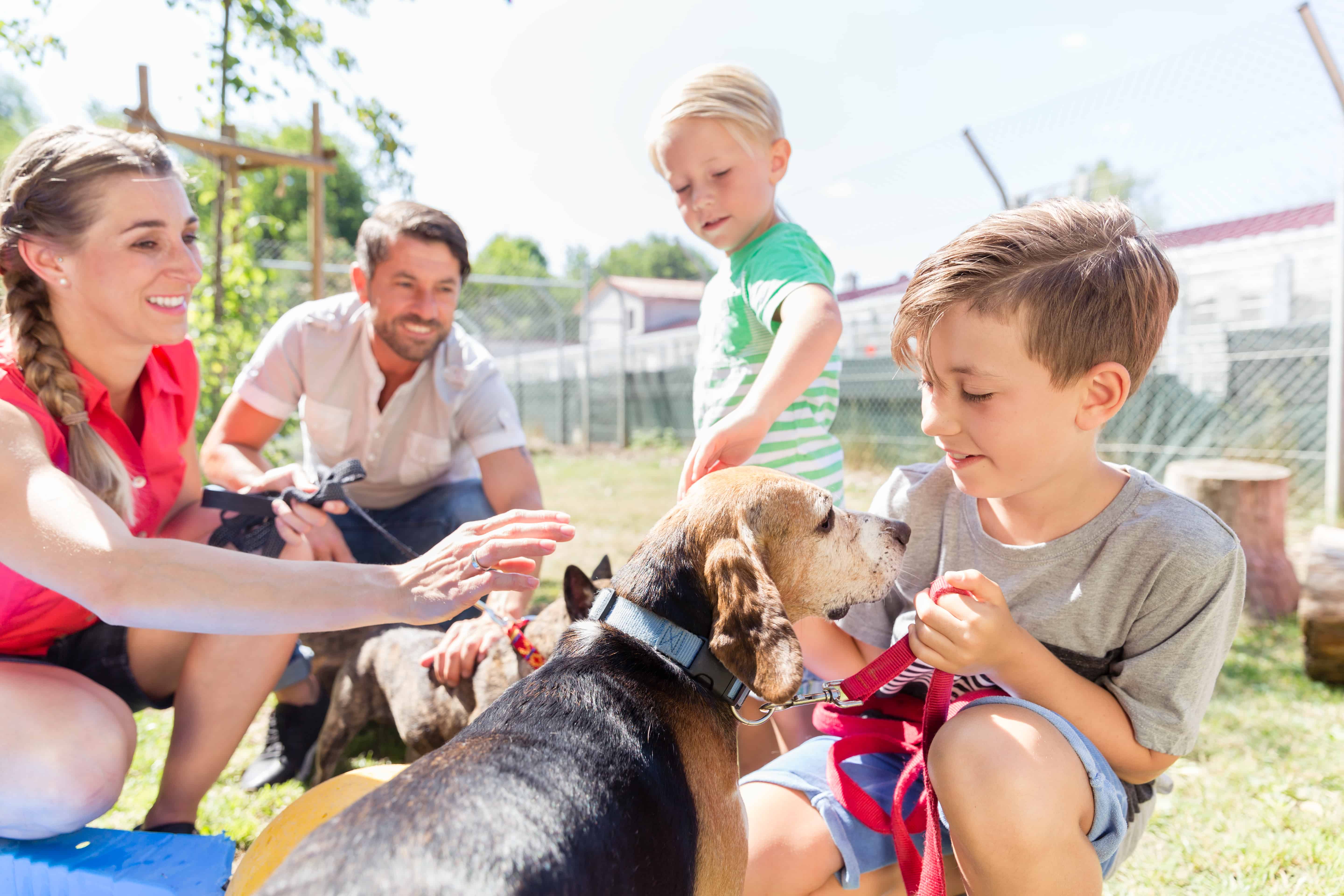 A family meets a potential pet for adoption.