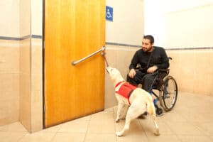 A guide dog helps his owner into a handicap bathroom.