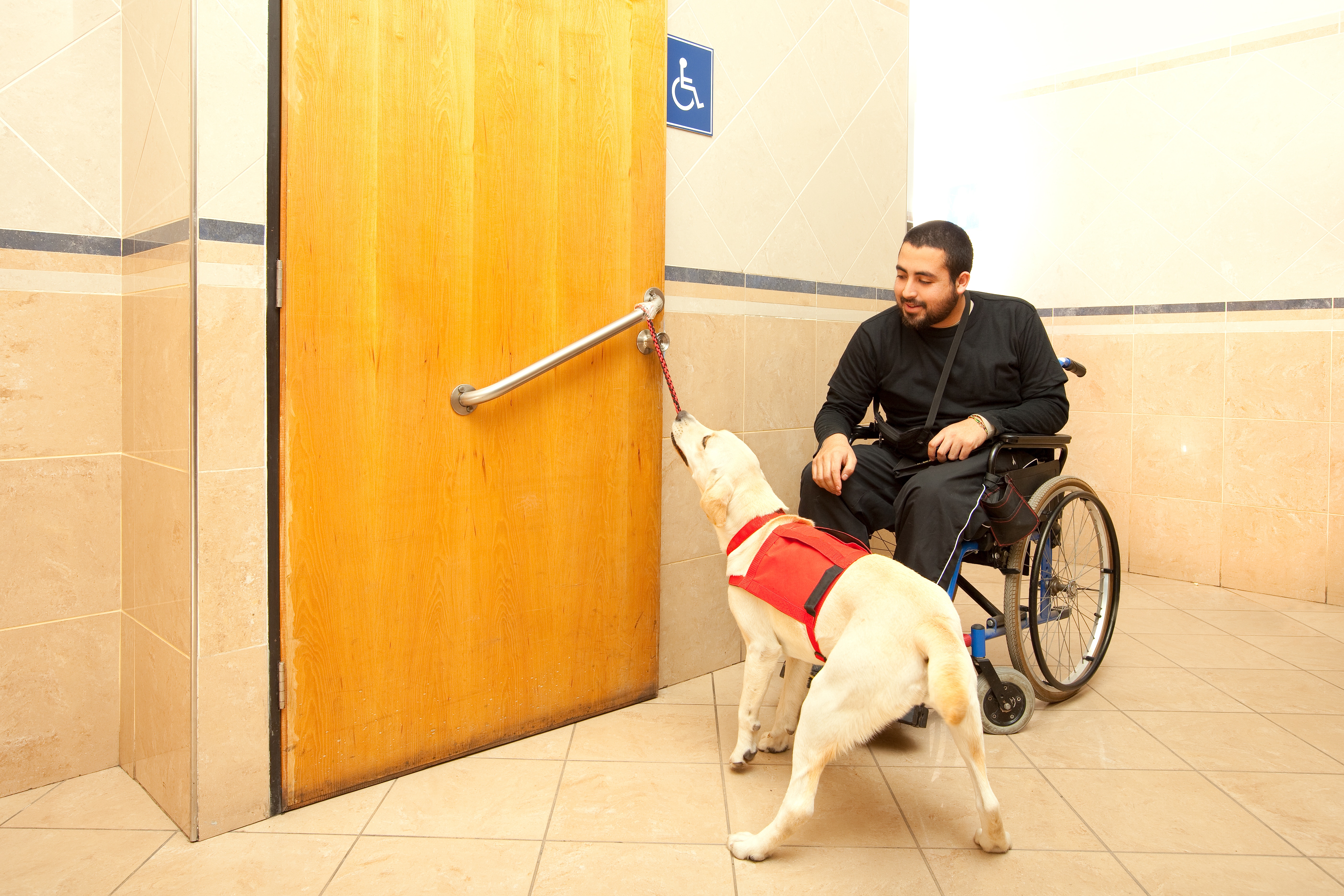 A guide dog helps his owner into a handicap bathroom.