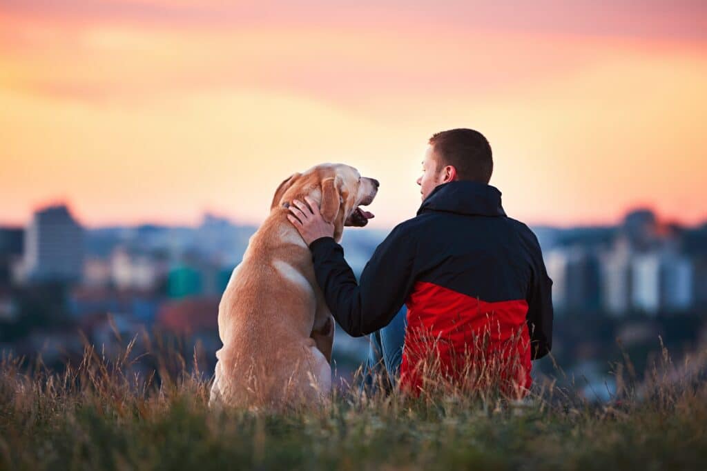 A faithful dog sits with his owner after a walk.
