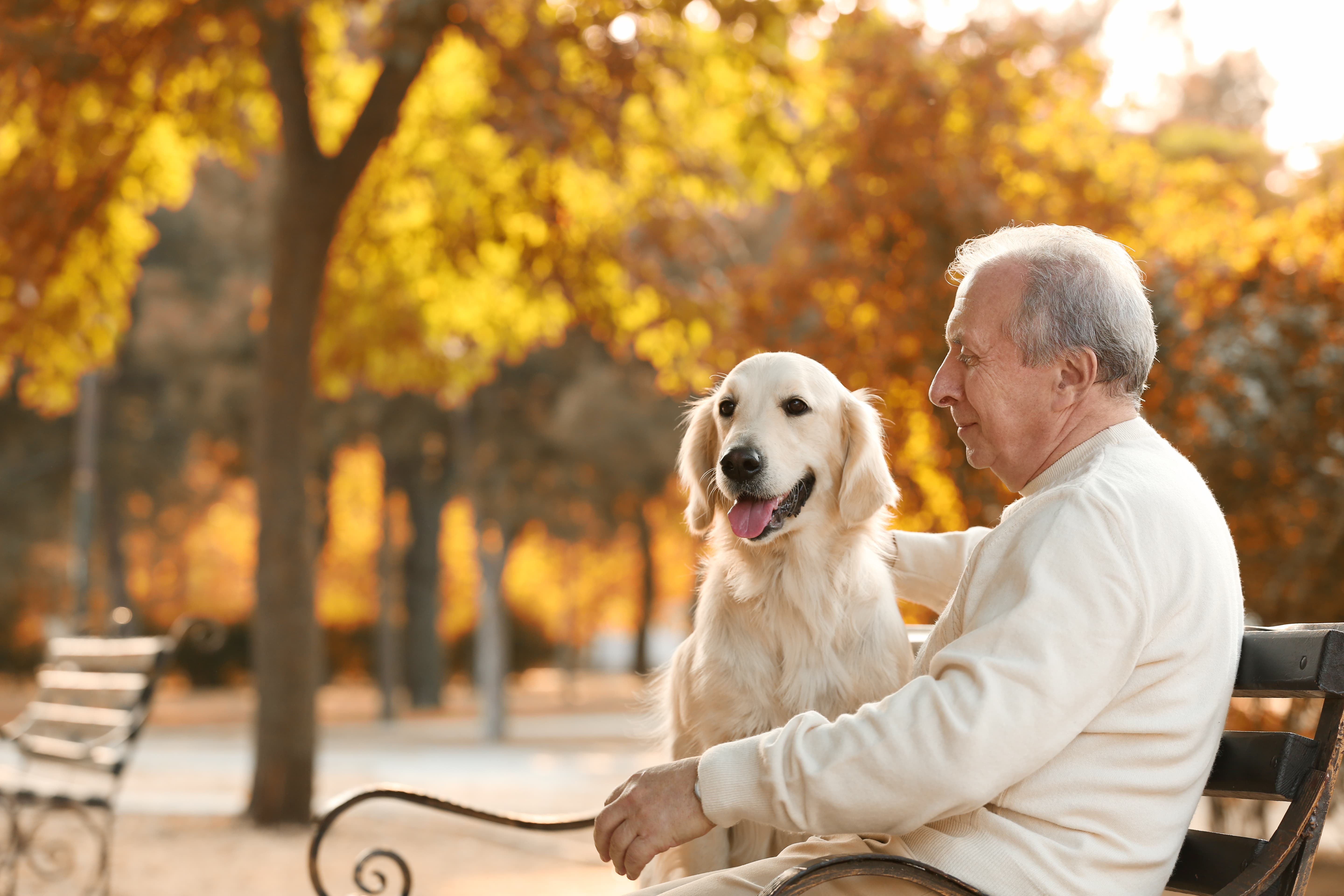 An older man and his dog sitting on a bench in the park