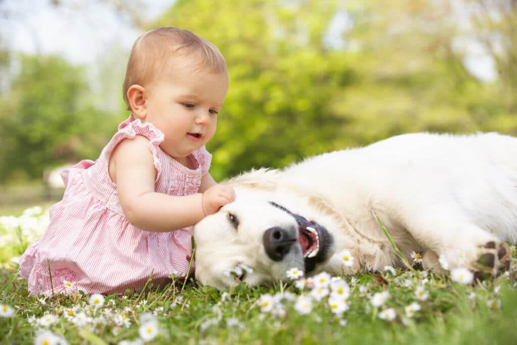 Baby girl sits outside in grass with calm and happy dog