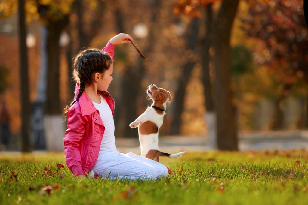 A child teaches her puppy tricks