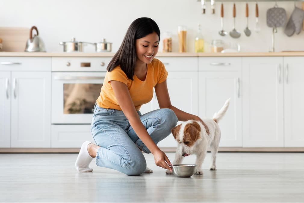 A woman slowly introduces her puppy to a new brand of food. The size of your dog will determine the type of kibble you should purchase. Read here for more details.