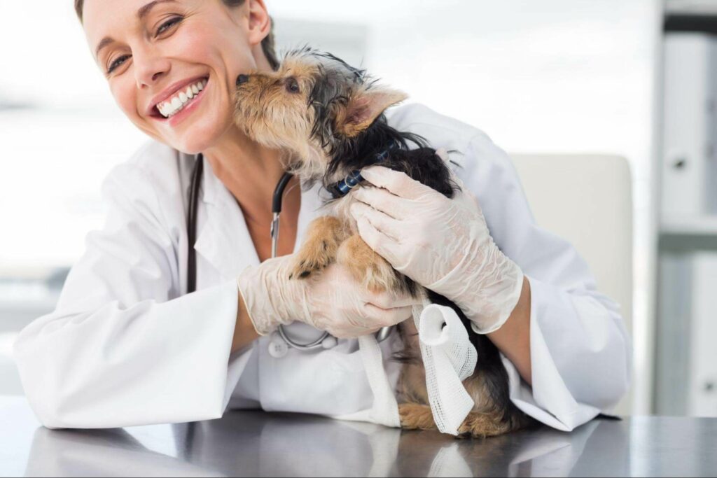 A puppy gives her vet a kiss after a wellness check up. Choosing a compatible match is not a difficult task, but will take some time and effort on your part.