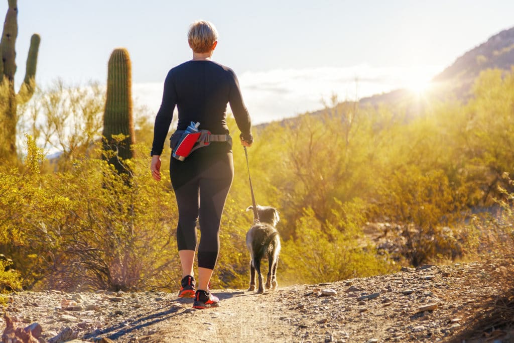 hiking with dog