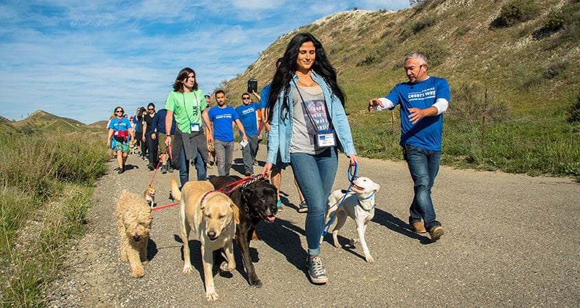 Cesar Millan walks with pet owners and their canines.