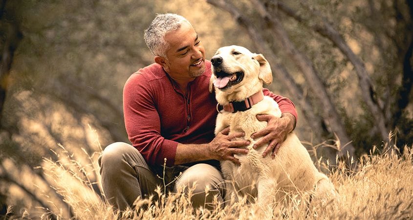 Cesar hugs a dog