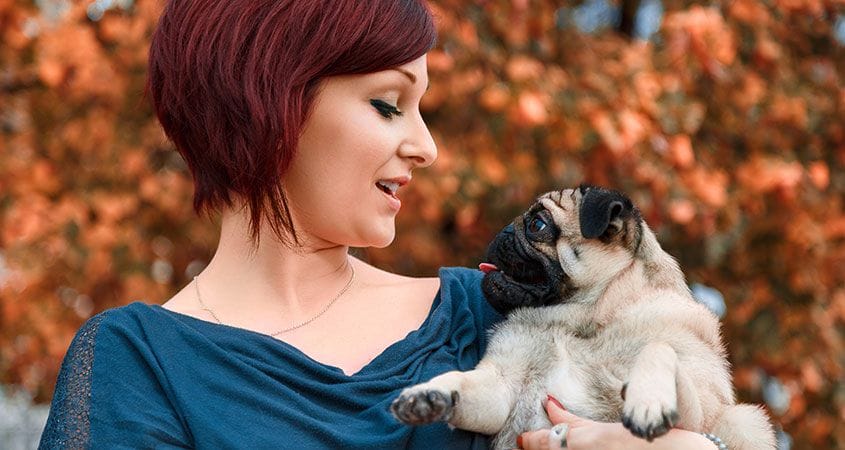 A woman holds her cute pug after a walk on a fall day.