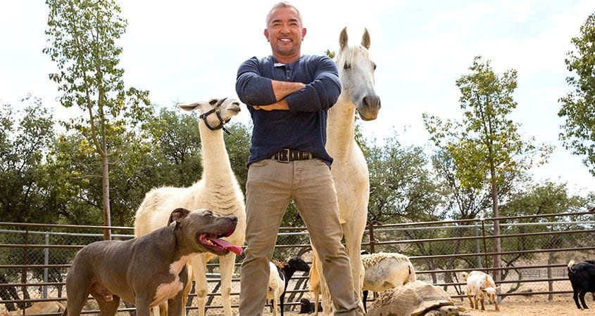 Cesar Millan poses with a group of dogs.