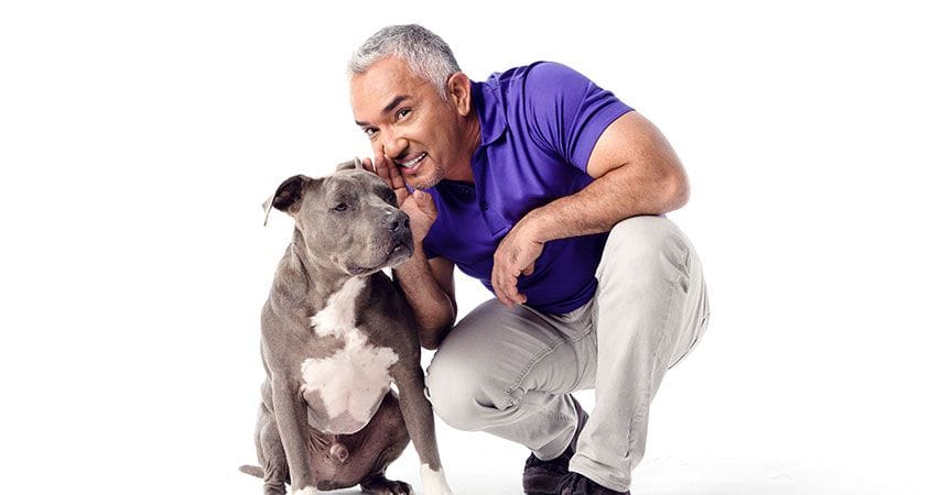 Cesar poses with a dog