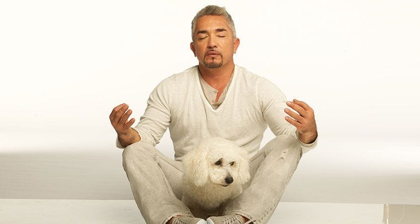 Cesar Millan remains calm with his dog.