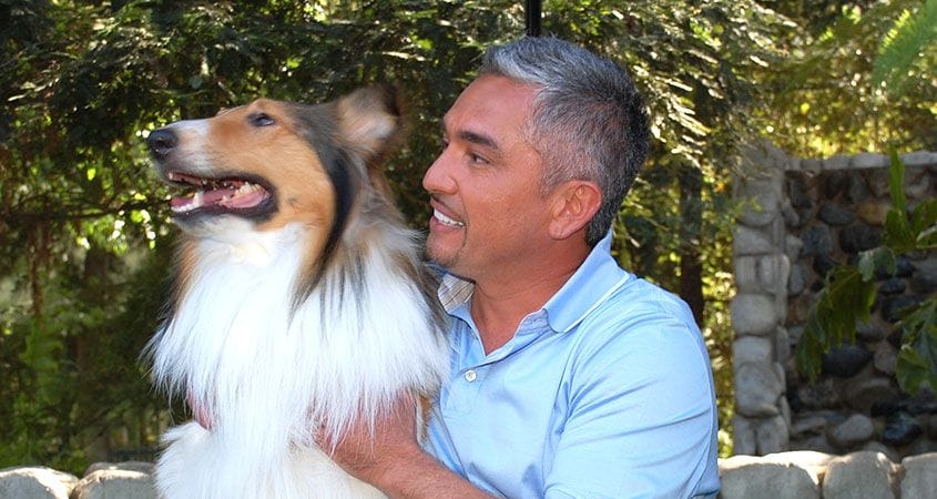 Cesar Millan with a dog.