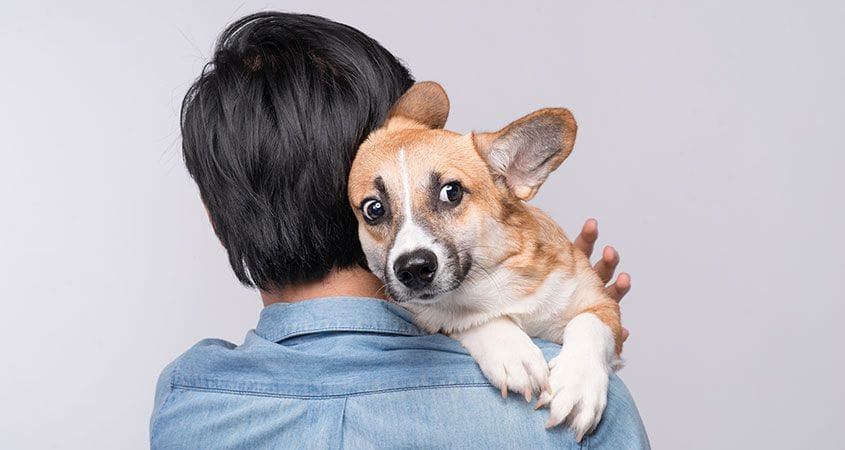 A dog acts fearful of the man holding him.