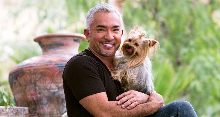 Cesar Millan holds a cute puppy.