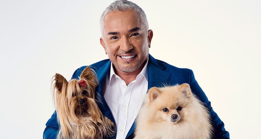 Cesar Millan poses with two dogs.