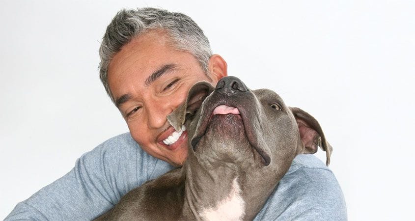 cesar gives a hug to a dog