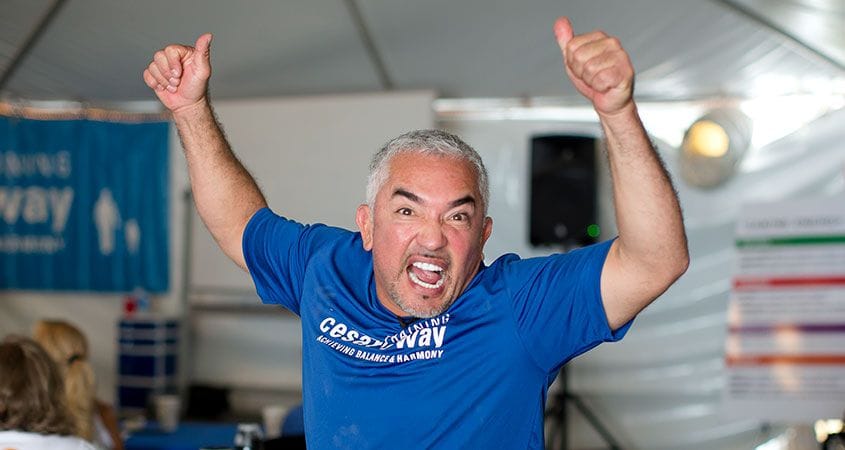 Cesar Millan