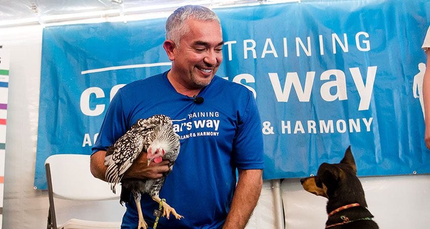 Cesar Millan holds a bird.