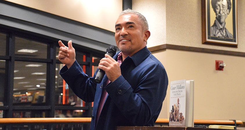 Cesar Millan talks about RESPECT