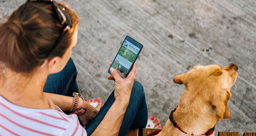 A pet owner reads Cesar's updates on her phone