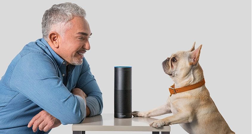 Cesar Millan sits with a dog listening to a story online