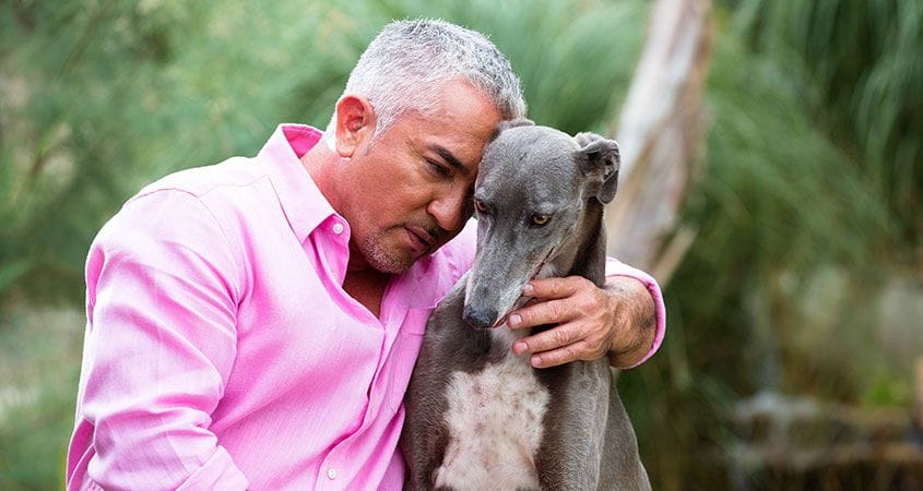 Cesar gives a hug to canine.