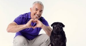 Cesar Millan makes a heart symbol with his hands.