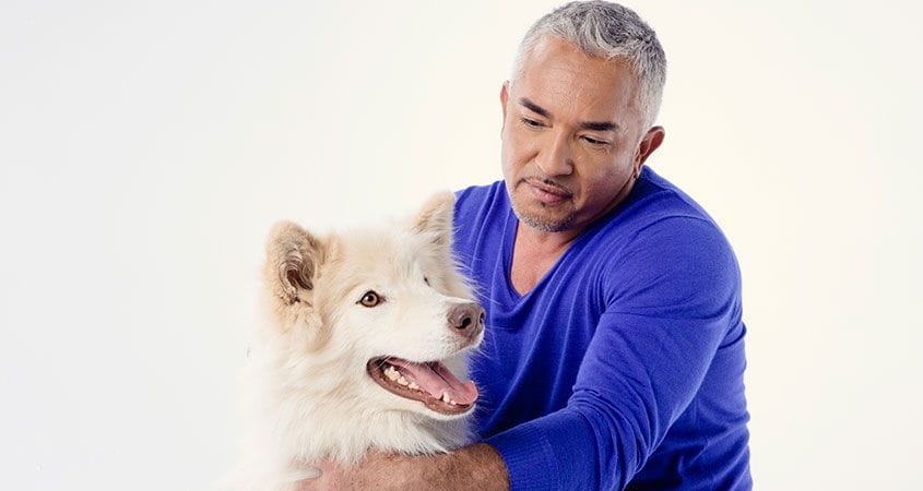 Cesar Millan poses with a cute dog.