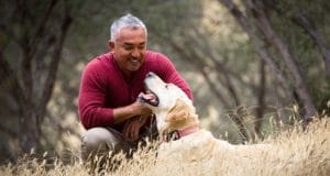 Cesar trains a dog on a beautiful fall day.